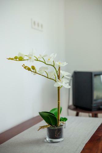 Apartamento Vir�gos Vend�gh�z