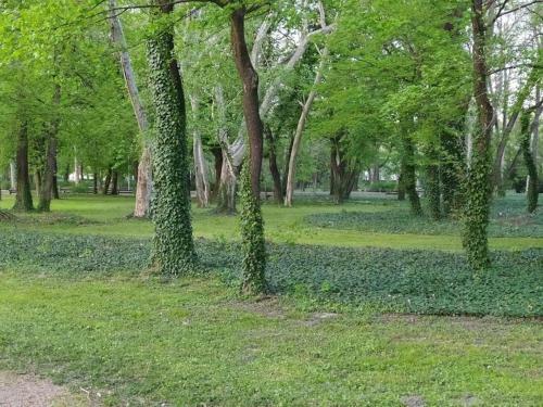 Nelli Apartman
