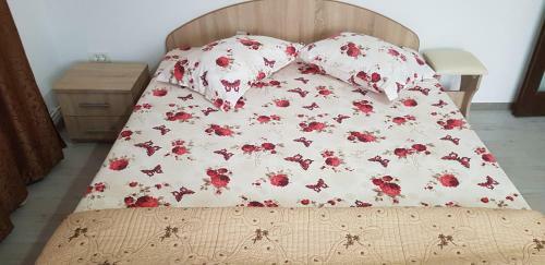 Lodge Cazare Antonia