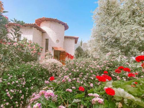Club Barbarossa Villas