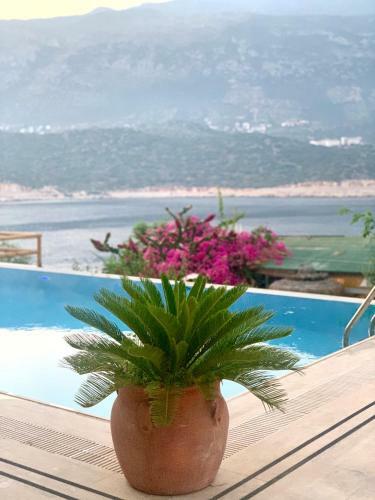 Club Barbarossa Villas