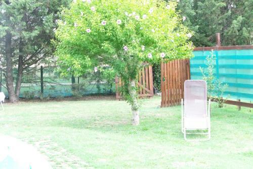 Caba�as Seguire Creyendo