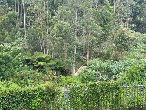 Apartamento Tiny Home Right On The George Green Belt