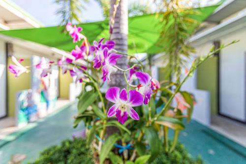 Hotel Oyo 450 Rawai Studios Resort