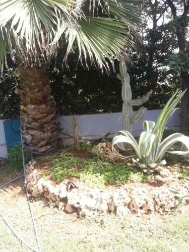Apartamento Casa Petra Limenari
