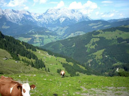 Agroturismo Viehhofbauer