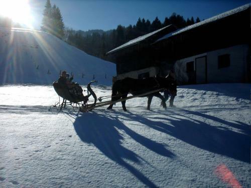 Agroturismo Viehhofbauer