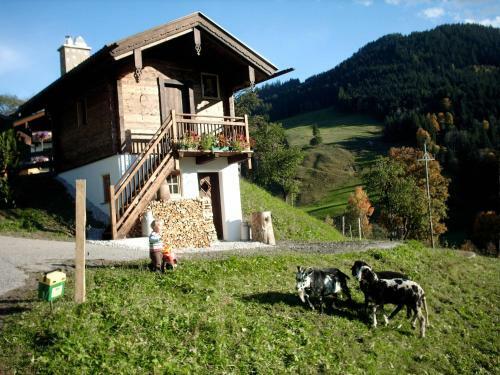 Agroturismo Viehhofbauer