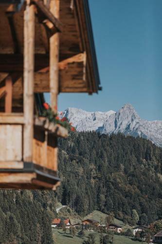 Chalet Wieshof