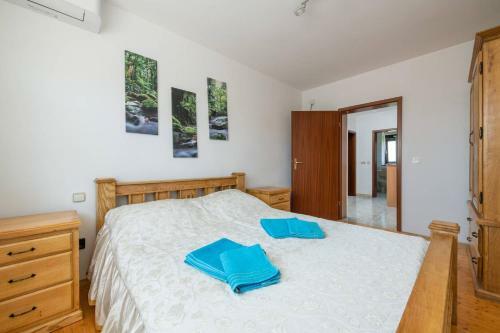 Villa Arta Medulin