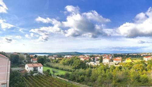 Villa Arta Medulin