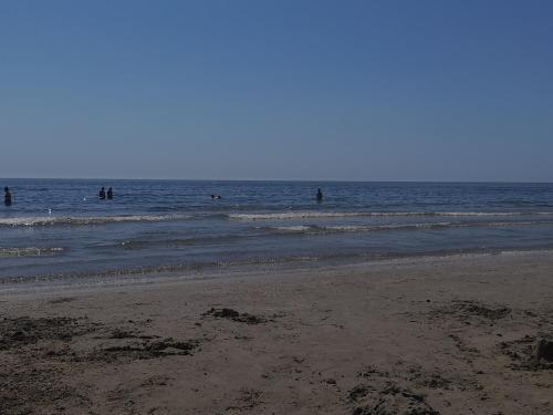Apartamento Dani Studio Mamaia Nord
