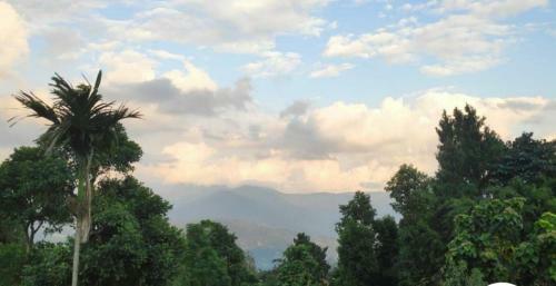 Bed & Breakfast Sai�s Grace