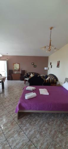 Nitsa Apartment