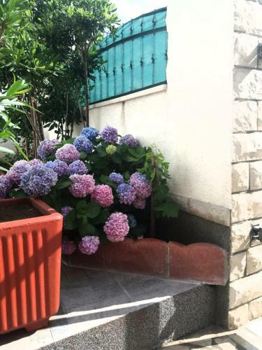 Ml Apartman