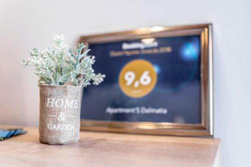 Apartment`s Dalmatia