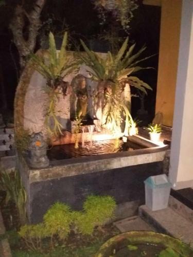 Hostal Suweta46 House