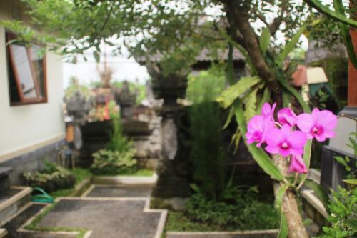 Hostal Suweta46 House