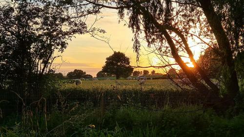 The Moat Lake Glamping Pod
