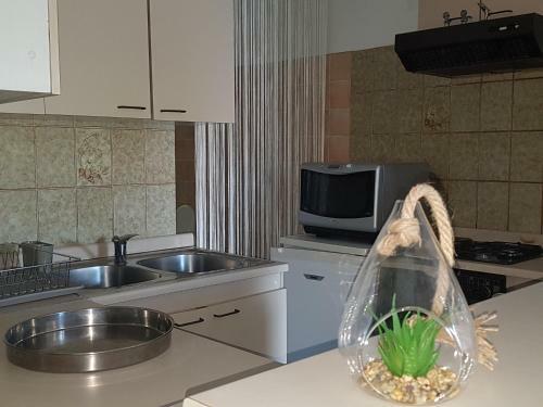 Apartamentos Maestral-nmf