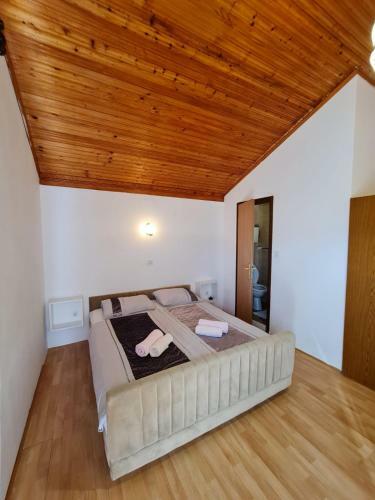 Apartamentos Maestral-nmf