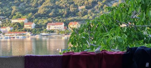 Apartamentos Maestral-nmf