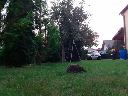 Agroturismo Go?cinne Zacisze