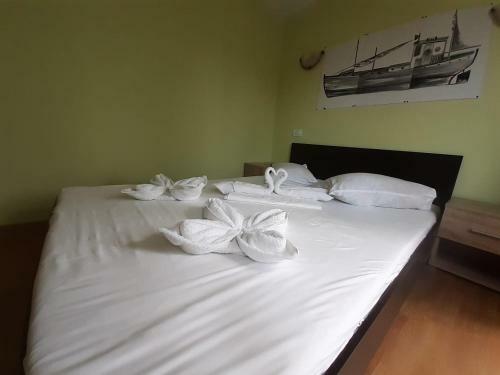Hostal Delta Ca Odinioara