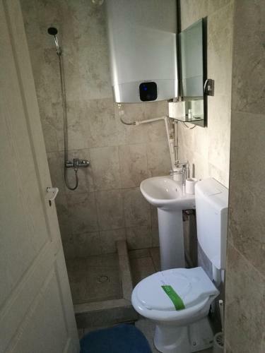 Hostal Delta Ca Odinioara