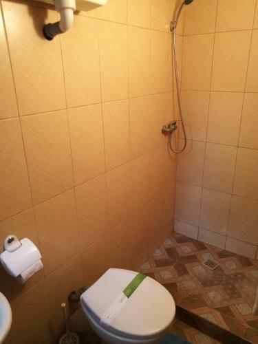 Hostal Delta Ca Odinioara