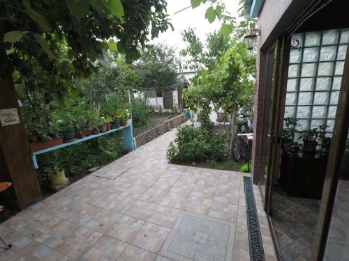 Hostal Delta Ca Odinioara
