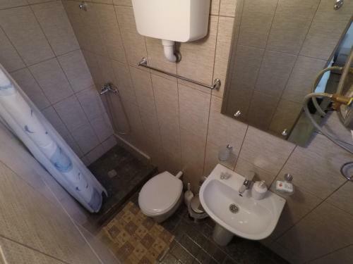 Hostal Delta Ca Odinioara