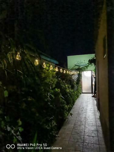 Hostal Delta Ca Odinioara