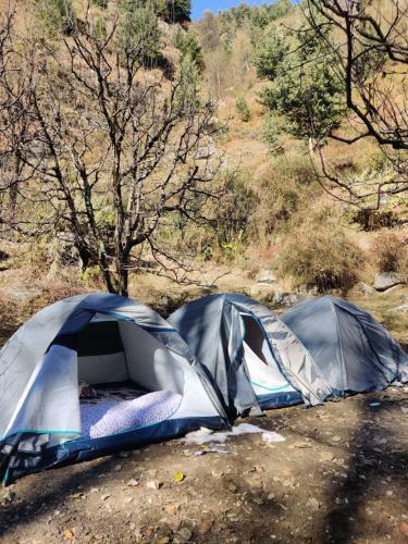 Last Stop Cafe & Camps