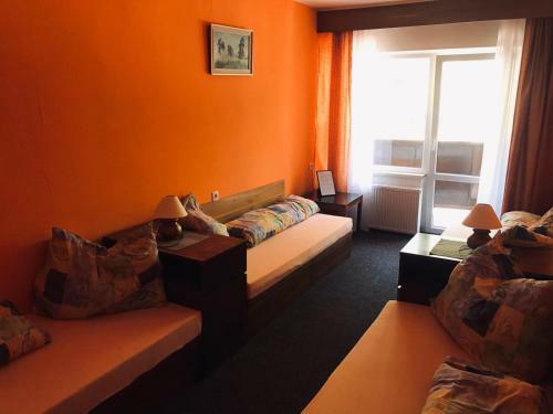 Hostal Penzion Nov� Ml�n
