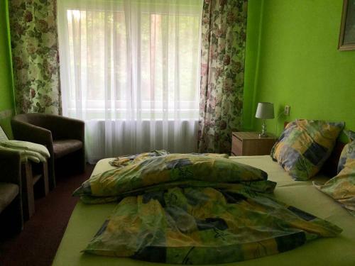Hostal Penzion Nov� Ml�n