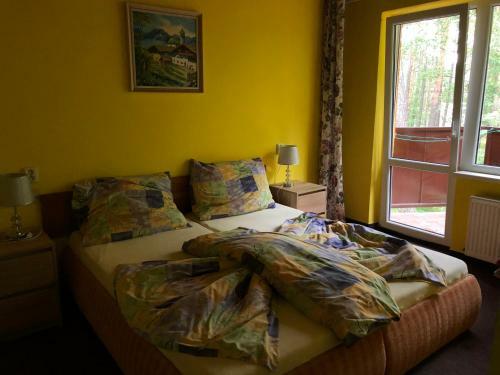 Hostal Penzion Nov� Ml�n