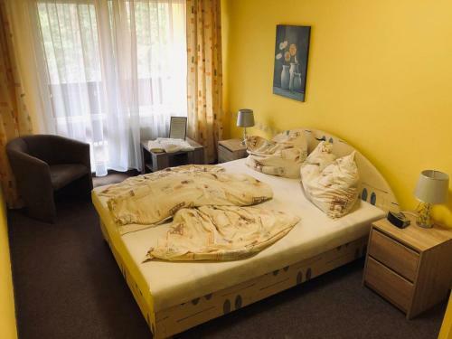 Hostal Penzion Nov� Ml�n