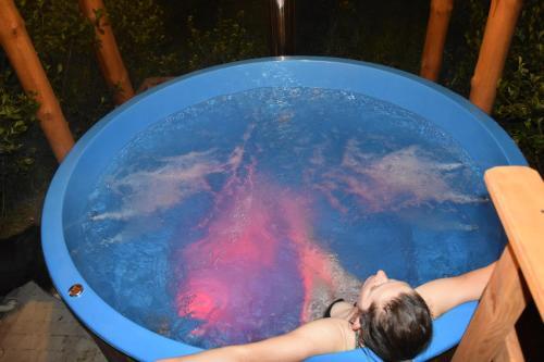 Bed & Breakfast G�rski Ogr�d