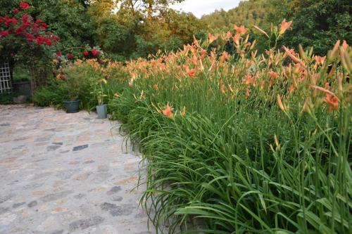 Bed & Breakfast G�rski Ogr�d