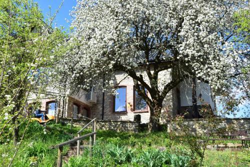 Bed & Breakfast G�rski Ogr�d