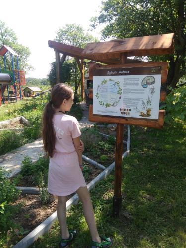 Bed & Breakfast G�rski Ogr�d