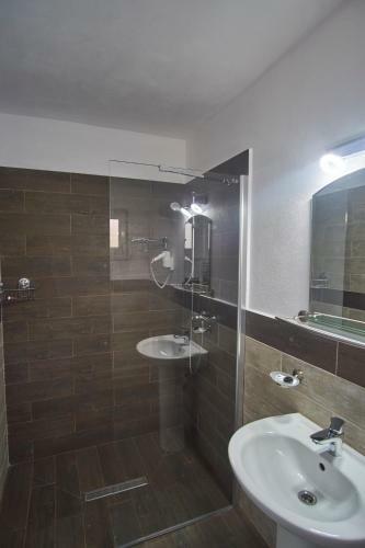 Hostal Pensiunea Selena