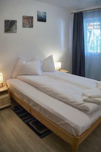 Hostal Pensiunea Selena