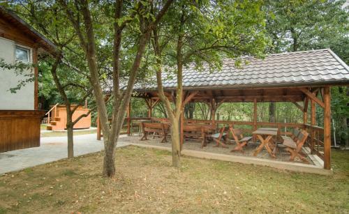 Hostal Pensiunea Selena