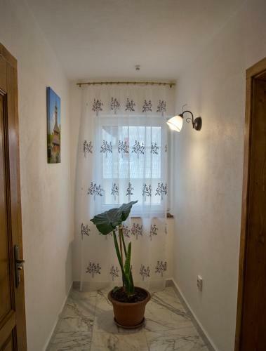 Hostal Pensiunea Selena