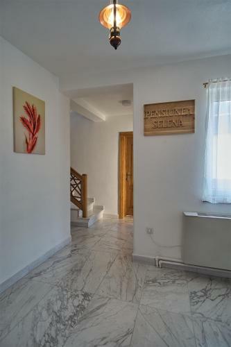 Hostal Pensiunea Selena