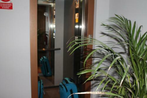 Aritza Apartamentos Tur�sticos Rurales