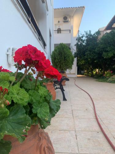 Villa Tasoula Apartments By The Sea