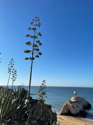 Dolce Vita Apartment Portimao